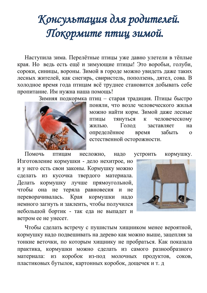 покормите птиц покормите птиц
