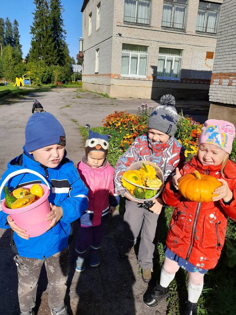 собираем урожай